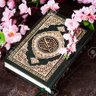 Profilbild von معلمة قرآن عن بعدmaryam