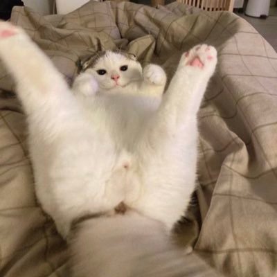 JohnnyLux_Noir's profile picture
