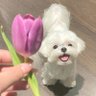 切块小蛋糕 profil fotoğrafı