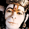 Profilbild von Brijesh Bhardwaj