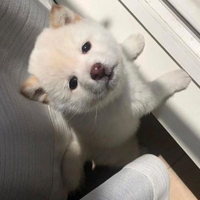 kkanntt00's profile picture