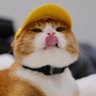 🌸yourhomeboy🌸 profil fotoğrafı
