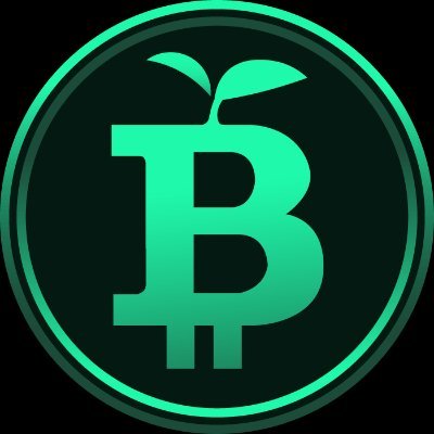 GreenBitcoin's profile picture