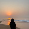 Sanghamitra Das's profile picture