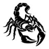 ScorpionD11 🇮🇱 的头像