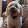 Louise⁷ 🧈's profile picture