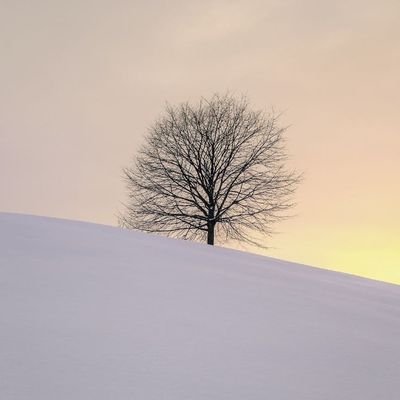 LOWE_STP's profile picture