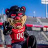 Фото профиля BearcatFanatic