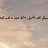 Profilbild von Shahed ibrahim