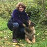 Karen Boyce - Expert Dog Trainer 的头像