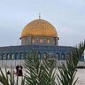 الباحث profil fotoğrafı
