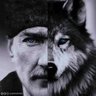 Sosyal_Kurt's profile picture