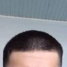 Mèo hoang's profile picture
