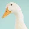 Mary Hauder~WATCH TR ON NETFLIX NOW's profile picture