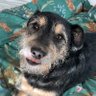 Louise_Hood's profile picture