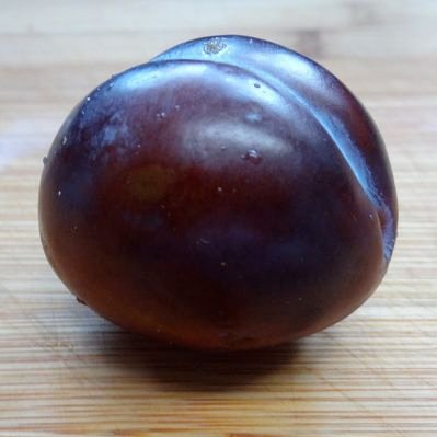 ElastratorAdict's profile picture
