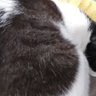 claudia profil fotoğrafı