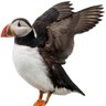 Profilbild von Angelina