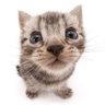Profilbild von wonder!!