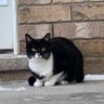 Monty R's profile picture