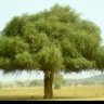 Фото профиля Mohamed Ag