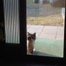 たっちゃん 的头像