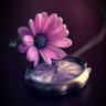 BearlyThere profil fotoğrafı