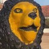 Фото профиля El león de los Aromos