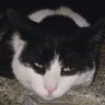 tugsekerim21 profil fotoğrafı