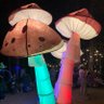 Espadajin profil fotoğrafı