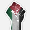 Фото профиля 🇵🇸💚