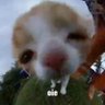 daddy's profile picture