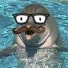 Malaporpoise's profile picture