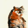 Dr Rob 🐀 (RATified)'s profile picture
