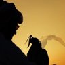 ڣــﮪــد ۛ ּبــنۨ ̨مۘــبــٰا̍ڔڪ's profile picture