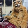 Faisal Rashed's profile picture