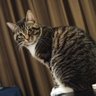 Robert.Zhang profil fotoğrafı