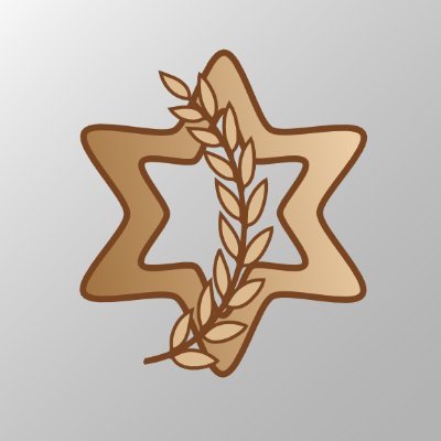 IsraelDefenseF's profile picture