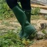 Profilbild von HardForWellies
