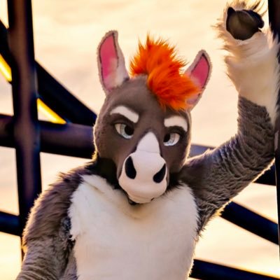 Jodira's profile picture