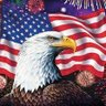 Sam's profile picture