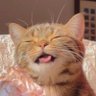 I'm Mickey's profile picture