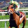 ALİ B.OĞLU's profile picture