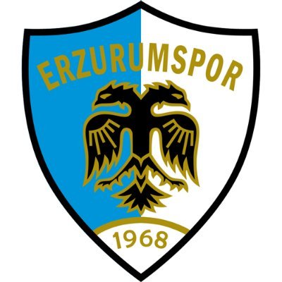 25Erzurumli0's profile picture