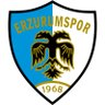 ERZURUMLULAR 的头像
