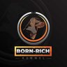 Bornrich profil fotoğrafı