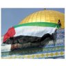 Bakry Radwan's profile picture