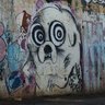 sommelierthecannabis profil fotoğrafı