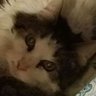 PrinceTubbs17's profile picture