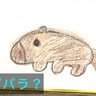 おもち子 的头像